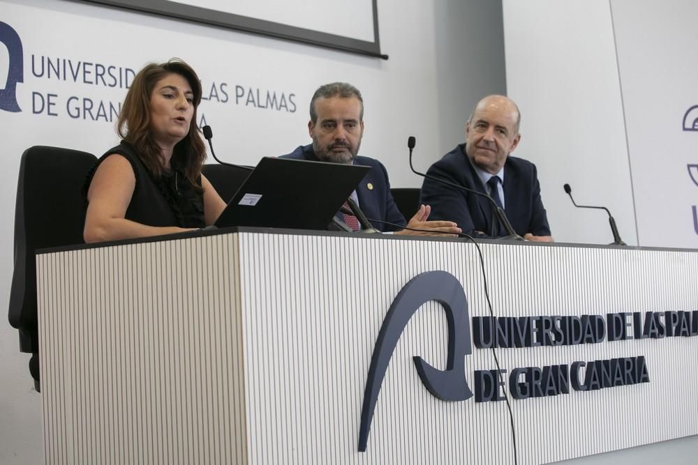 Presentación de un parque eólico marino de 200 megavatios de potencia en Gran Canaria