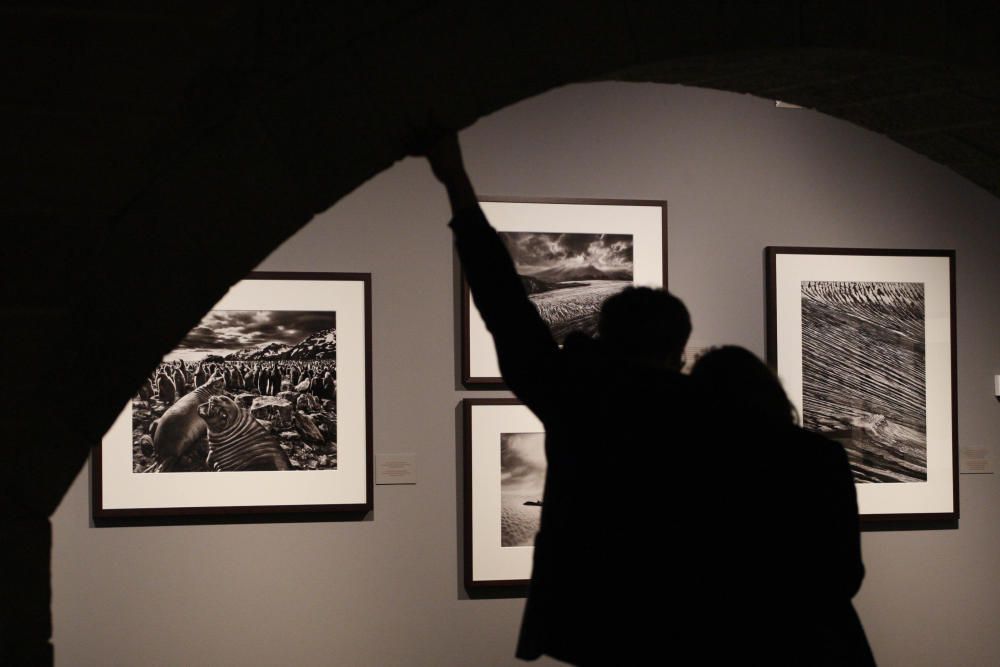 Exposició «Gènesi» de Sebastião Salgado