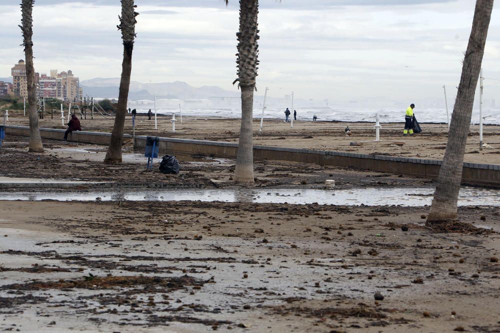 Destrozos en la playa de la Patacona