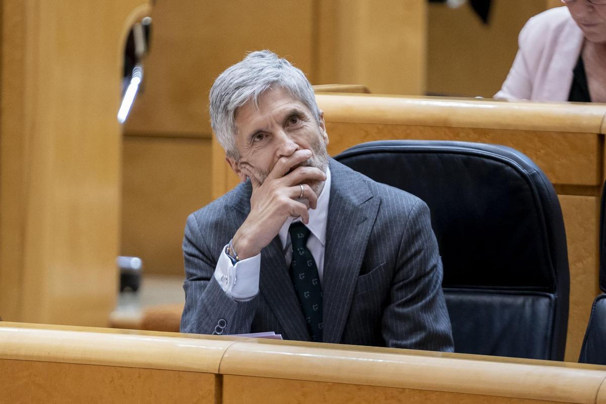 El ministro de Interior, Fernando Grande-Marlaska, en una sesión de control al Gobierno en el Senado, a 26 de abril de 2022, en Madrid (España).