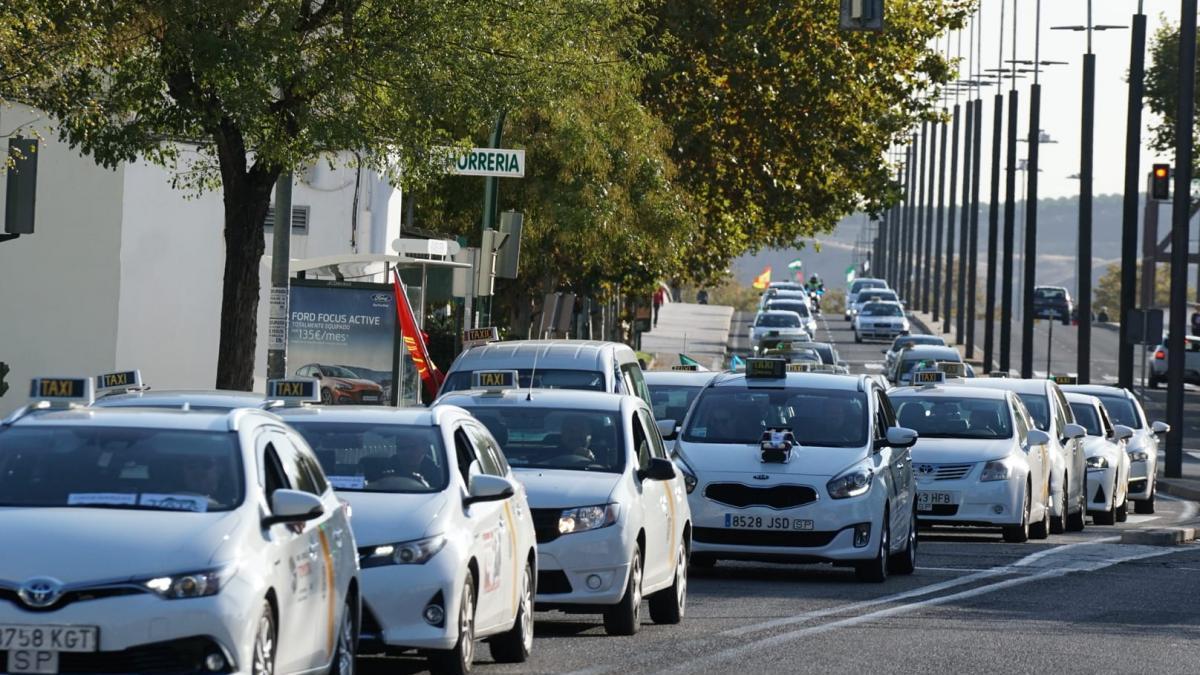 Más de doscientos taxis marchan en protesta por Córdoba para exigir el control de los vehículos VTC