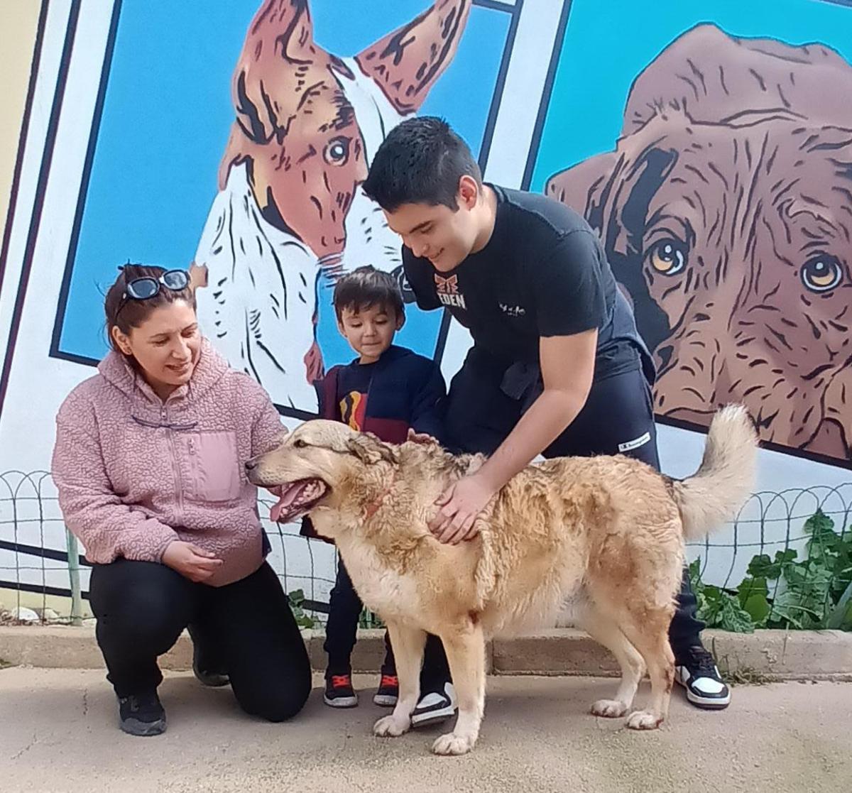 Nina, la adoptada más mayor