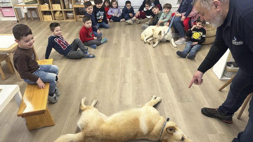 El CRA de Valga también enseña con perros