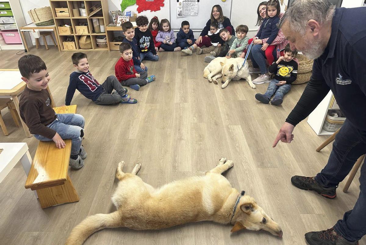 Los niños pudieron aprender y divertirse con los perros. |  FdV
