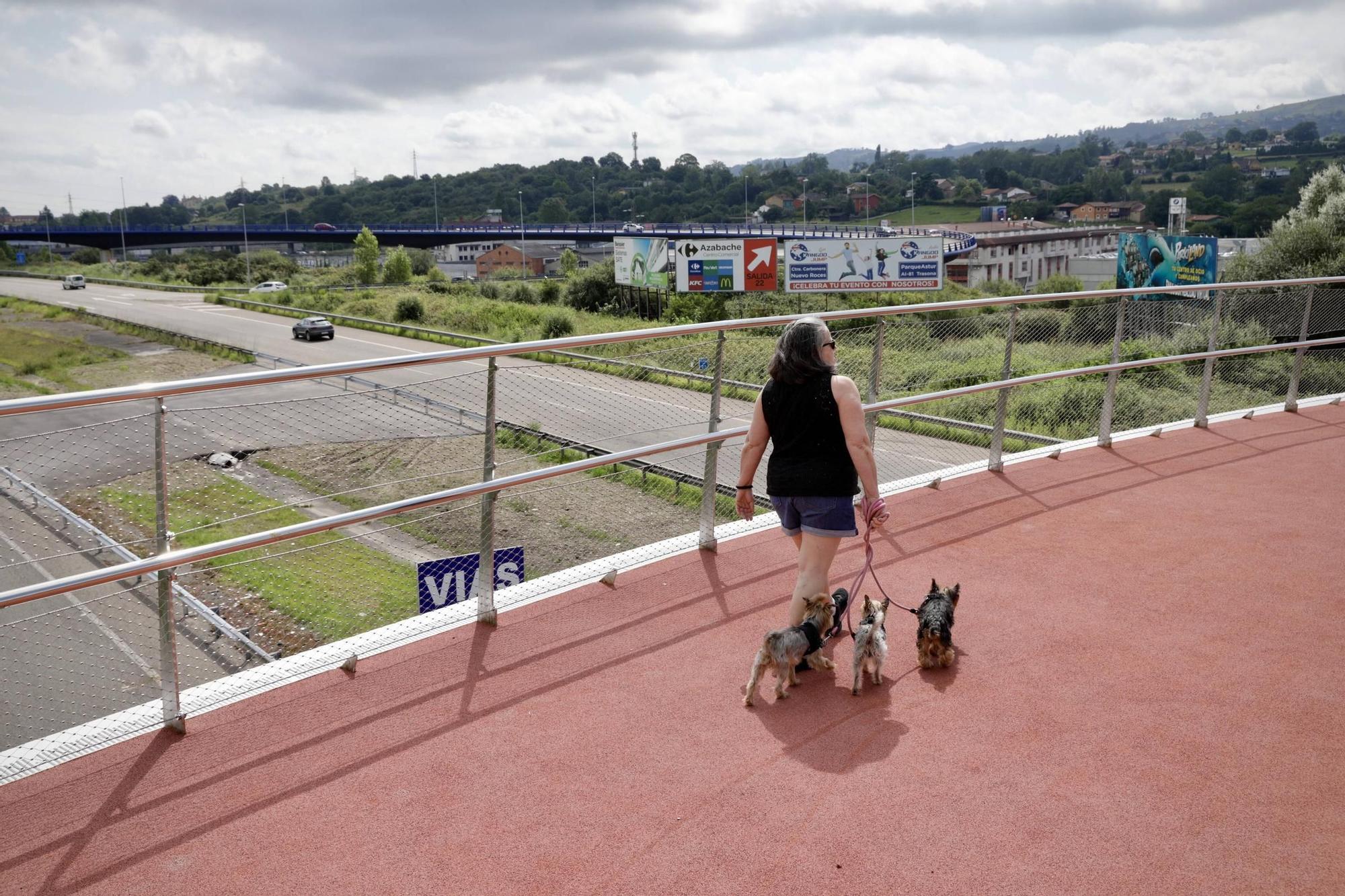 Inauguración del parque lineal de entrada a Oviedo por la "Y"