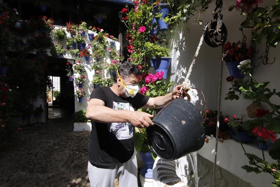 Los Patios de Córdoba (2)