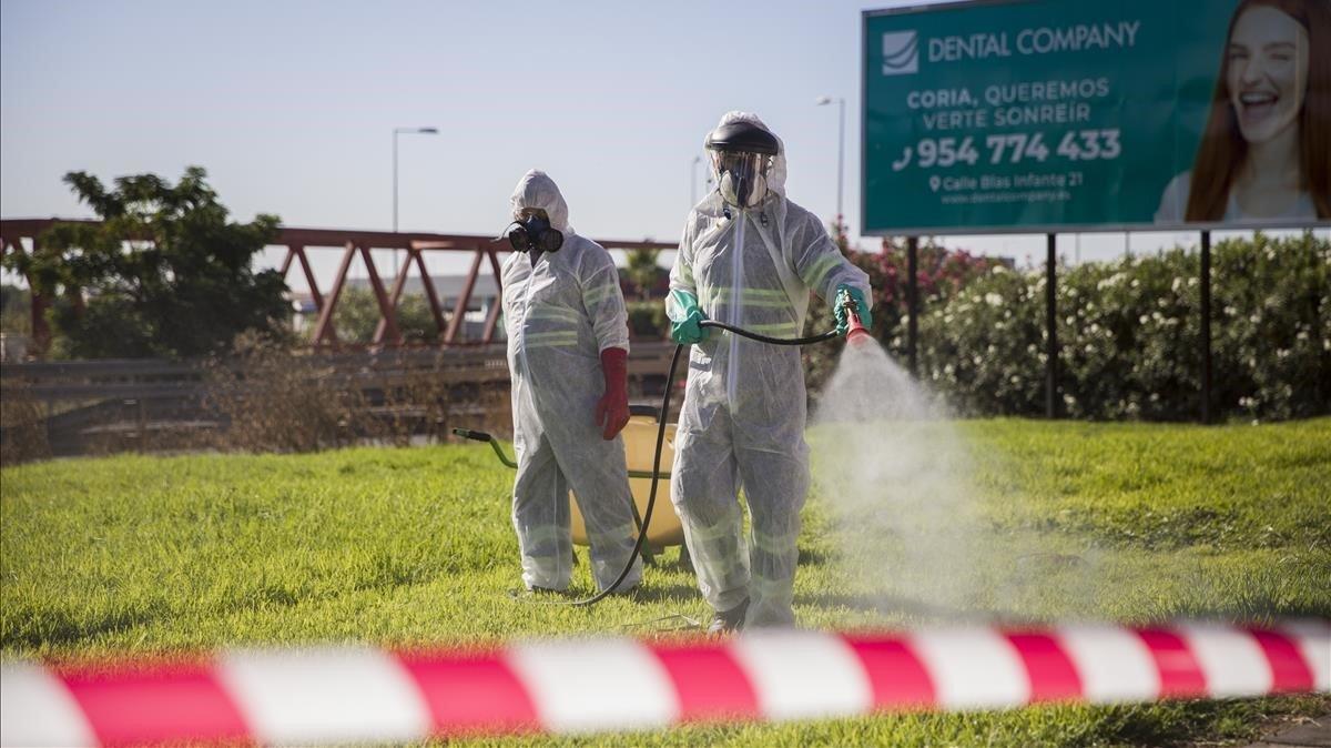 undefined54527996 dos trabajadores durante las labores de fumigaci n contra lo200909120027