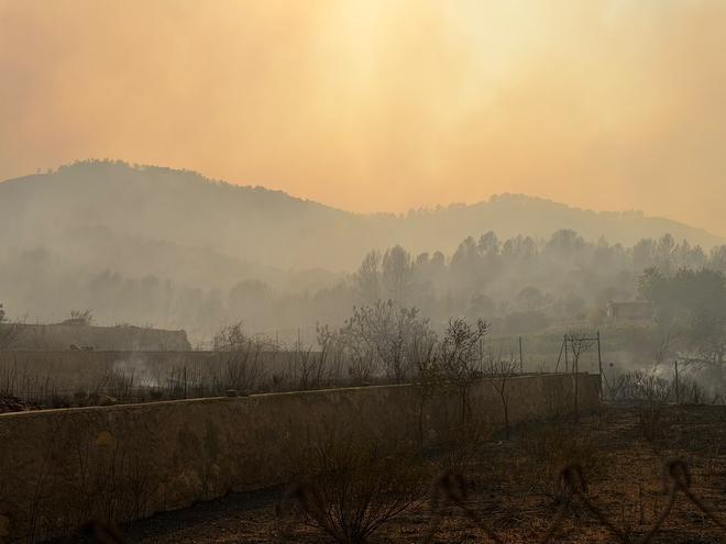 Las imágenes de la desolación en la Vilavella