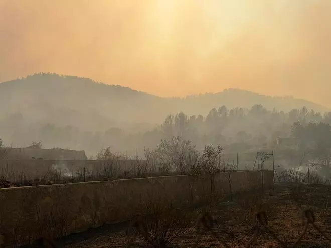 Las imágenes de la desolación en la Vilavella