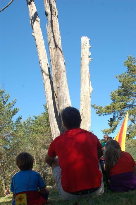 Aplec del Pi de les Tres Branques