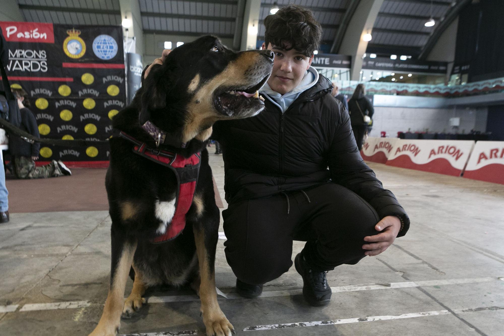 Inauguración del salón asturiano de las mascota.