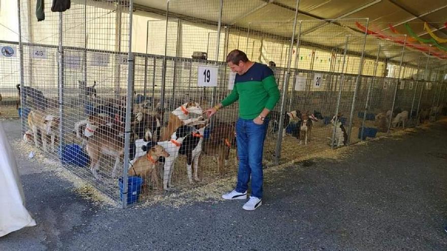 Alozaina celebra este fin de semana la feria del podenco andaluz