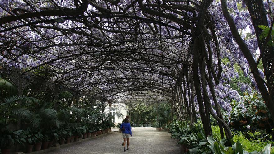 Unidas Podemos exige a la Junta que pare el &quot;parque temático navideño&quot; en la Concepción