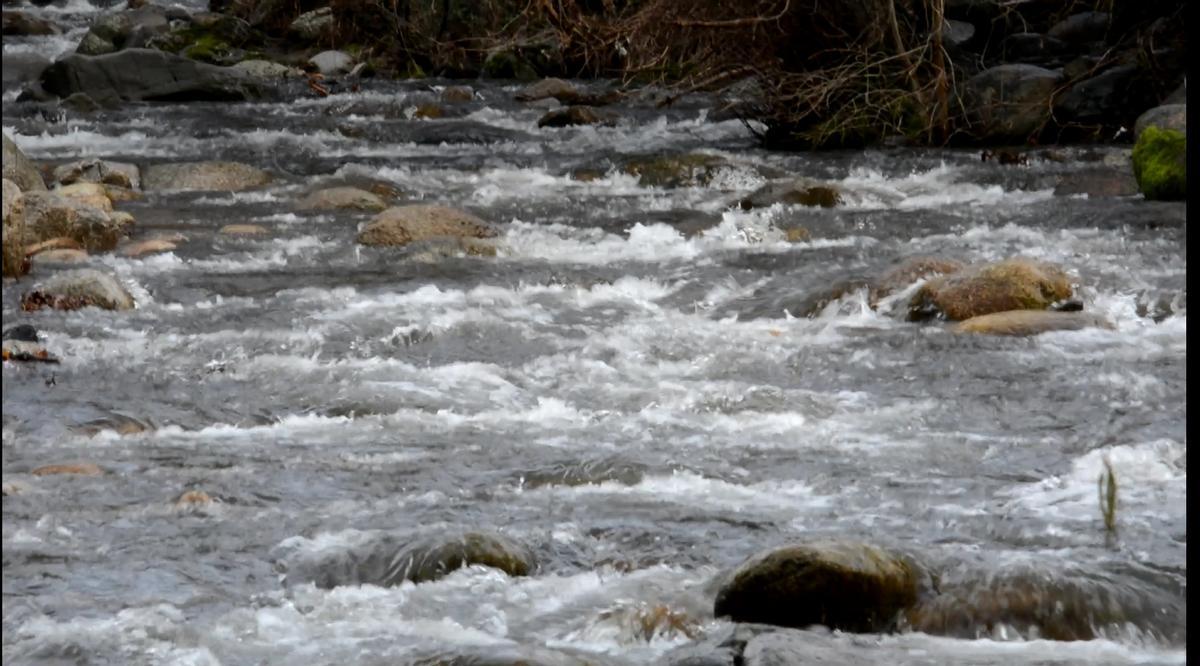 Fotogalería | Crecida del río Ambroz a su paso por Hervás después de las lluvias del martes 13 de enero Fotogalería | Crecida del río Ambroz a su paso por Hervás después de las lluvias del martes 13 de enero