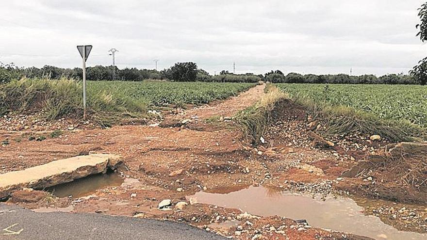 Los ‘ullals’ de Benicarló siguen rebosando agua