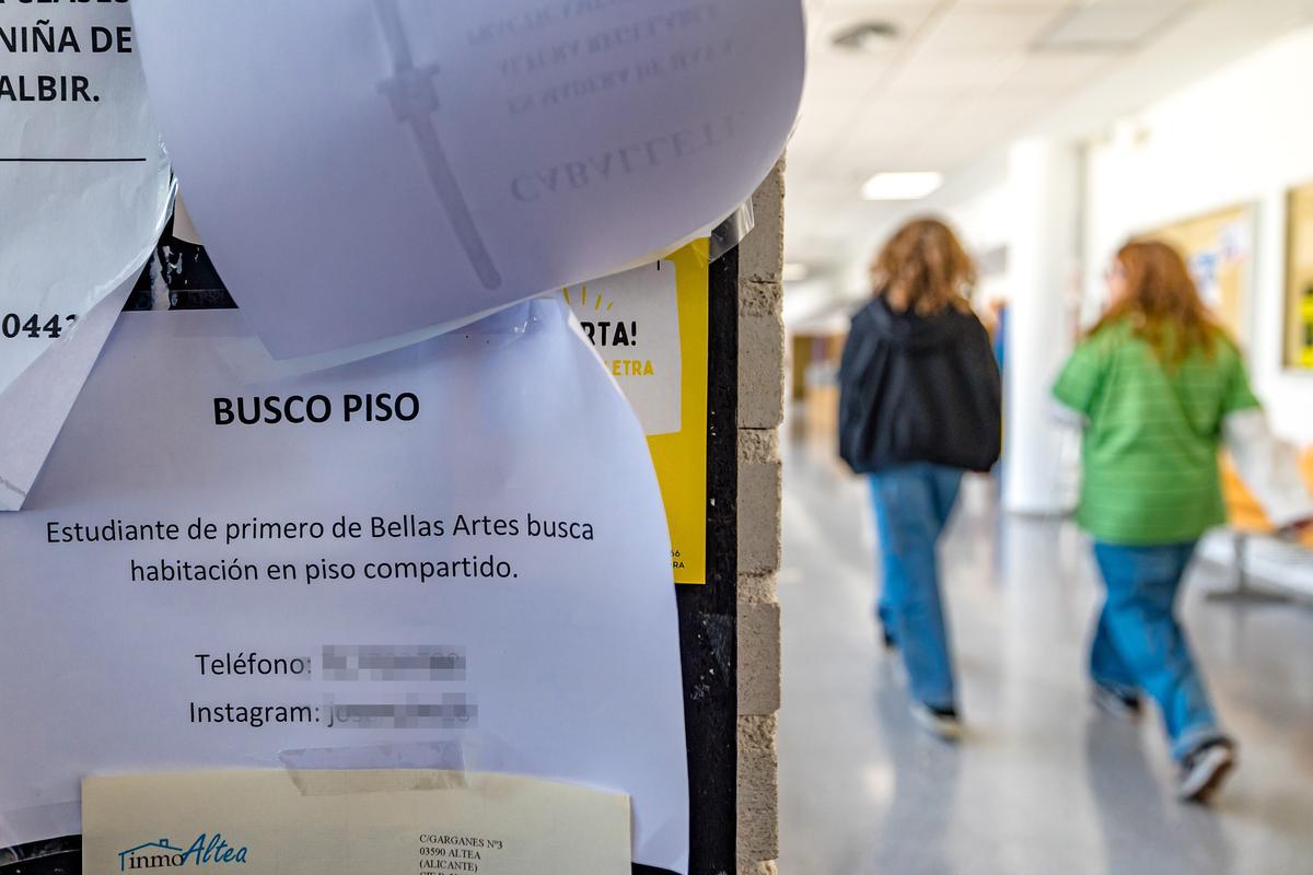 Anuncios  para buscar vivienda en uno de los tablones de la Facultad de Bellas Artes de Altea.