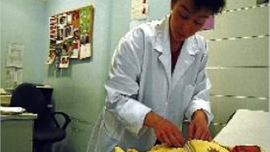 Una professional de l&#039;àrea de pediatria de l&#039;hospital de Puigcerdà