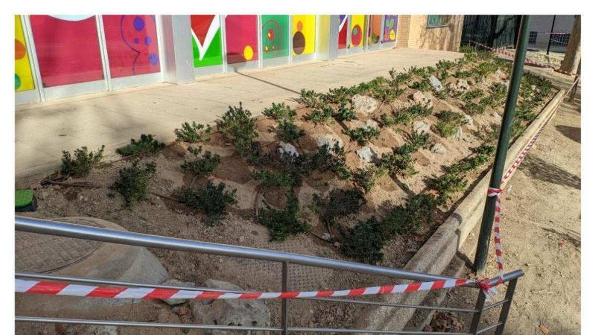 Así han quedado los parterres después de la renovación.
