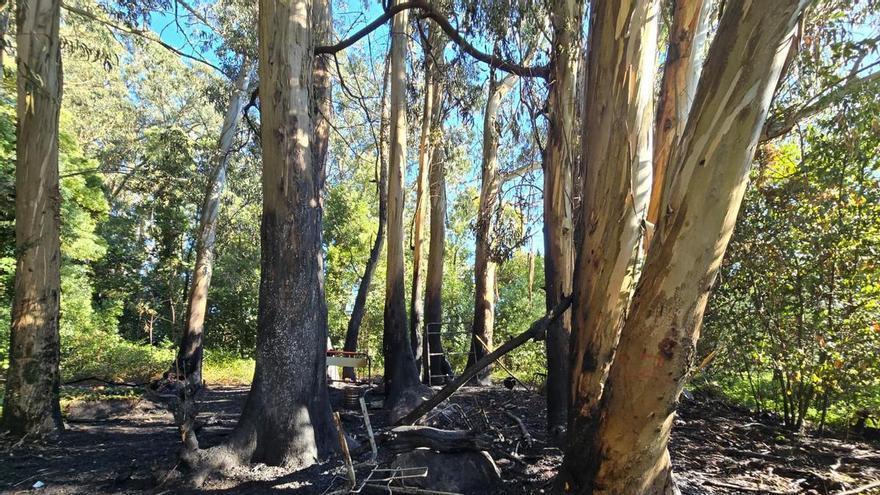 Movilizados los bomberos por un aviso de incendio en el monte de A Guía, en Vigo
