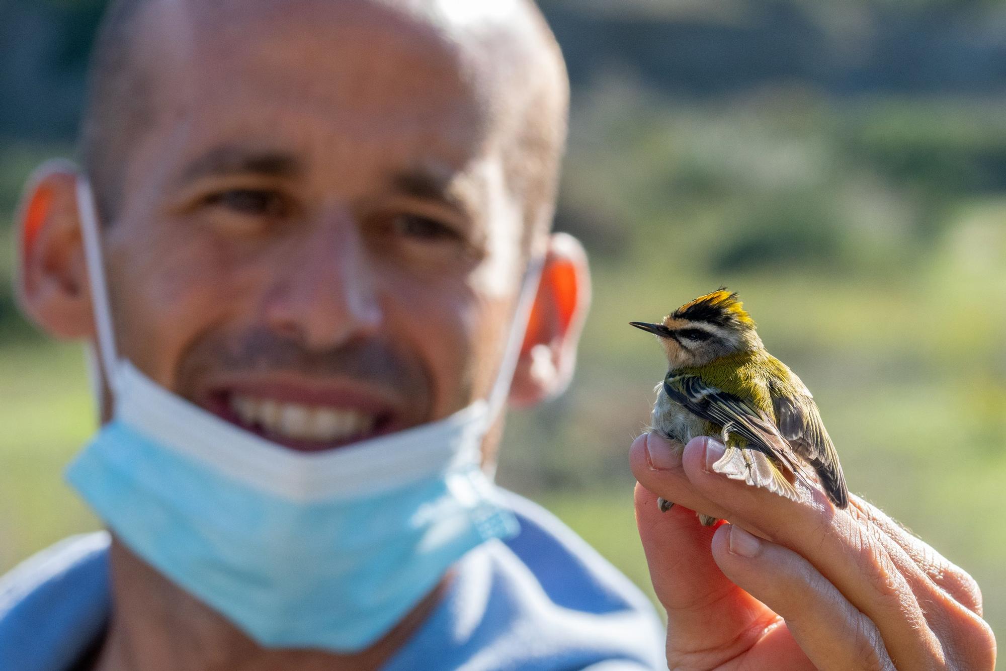 Primer Bioblitz al Parc Natural del Cap de Creus