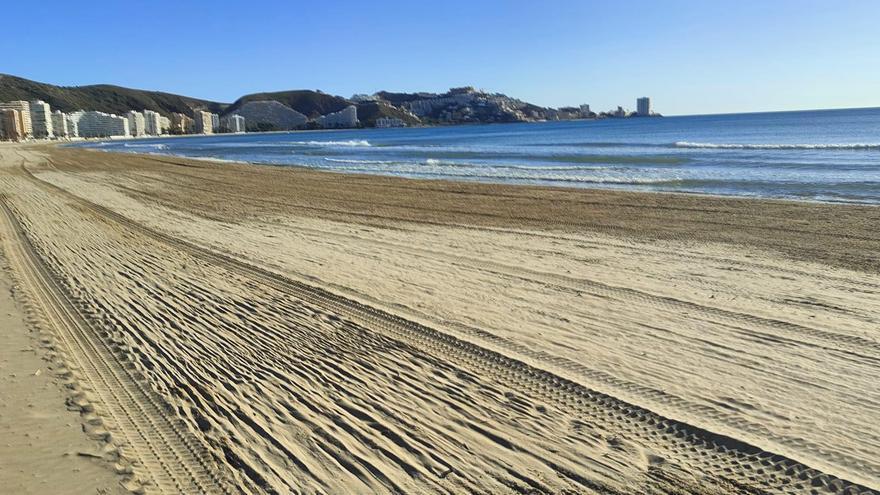 &quot;No nos quitaremos las cañas en las playas de Cullera en un año&quot;