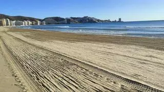 "No nos quitaremos las cañas en las playas de Cullera en un año"