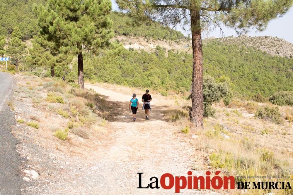 Peregrinación de Beas de Segura a Caravaca (camino