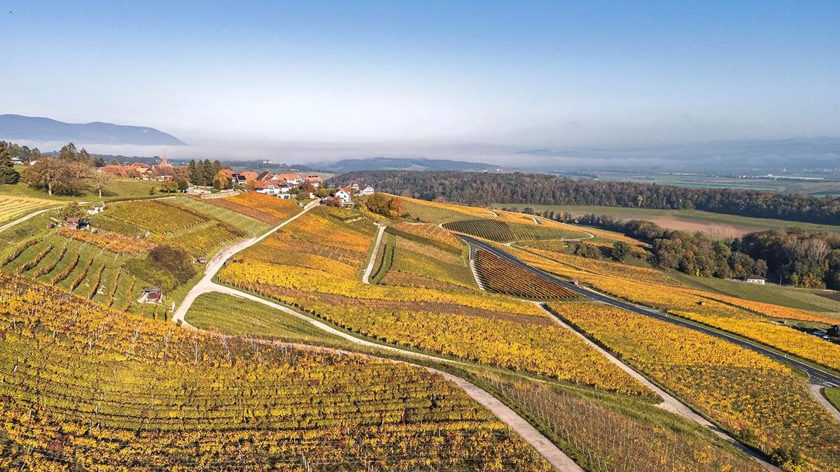 La Région d’Yverdon – Alma de Suiza