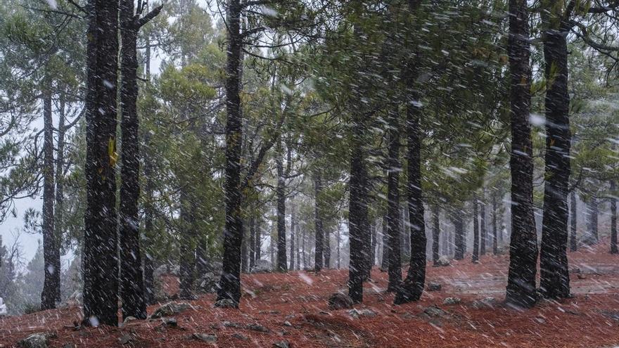 Tiempo en Gran Canaria (27/01/22)