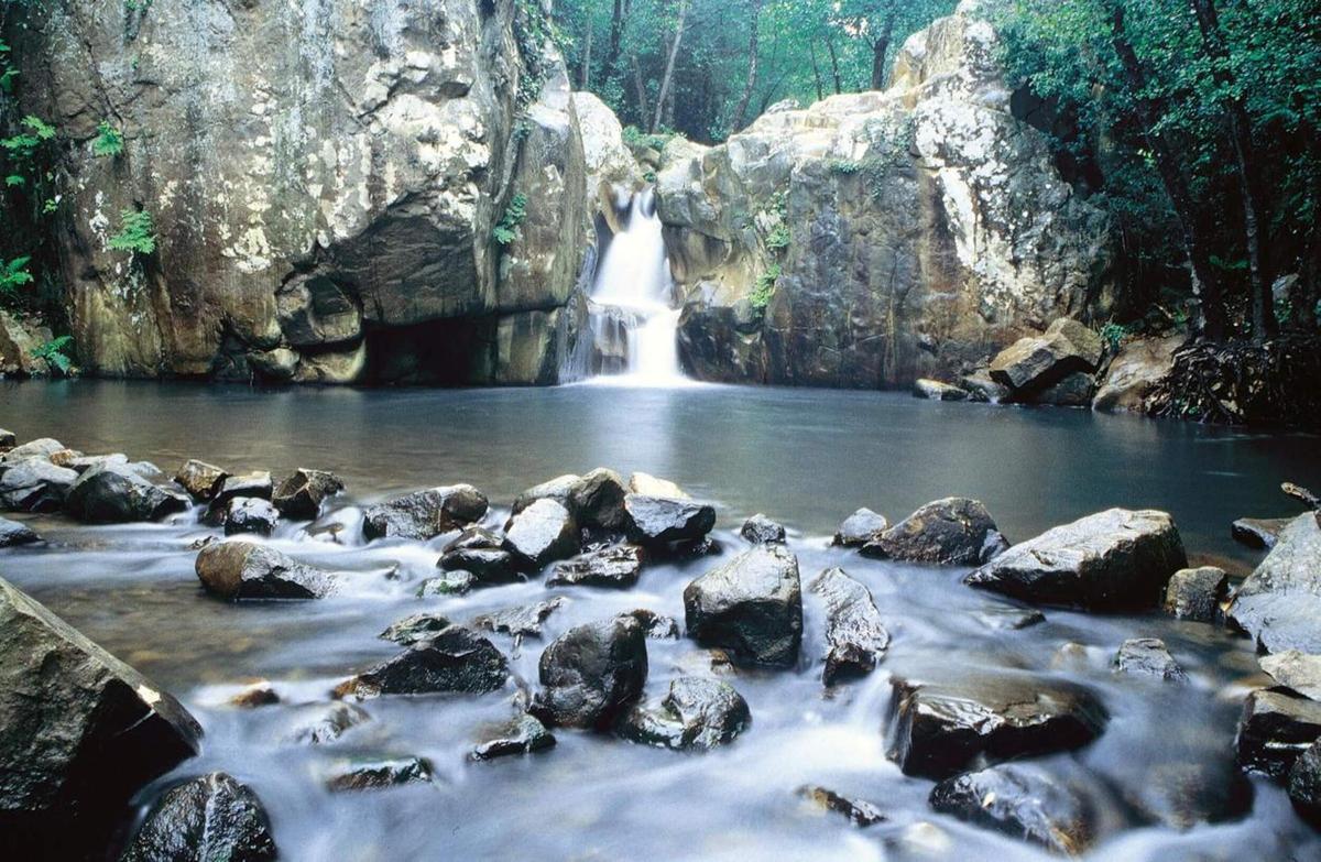 Sendero el río de la miel, la ruta acuática de Cádiz que recorre cascadas, selvas tropicales y ruinas de antiguos molinos