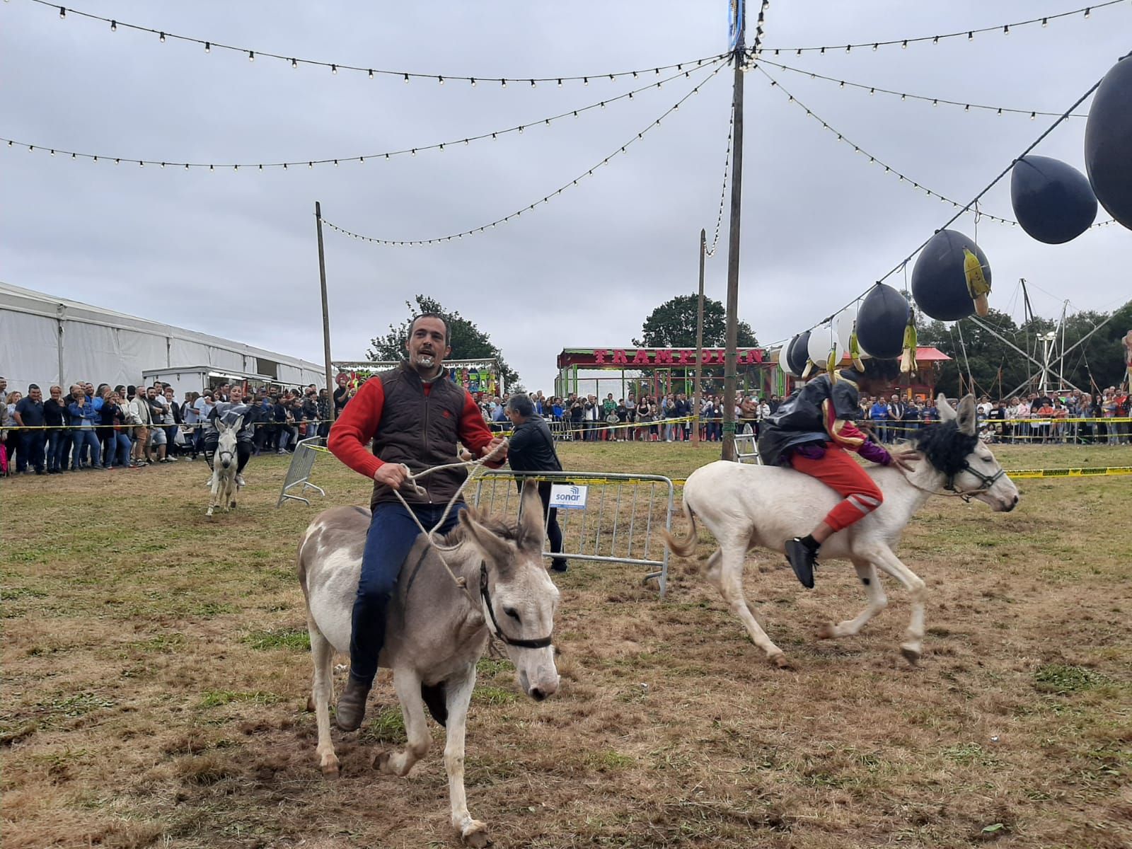 Collao, la competición más bestial: ocho burros disfrazados y a la carrera