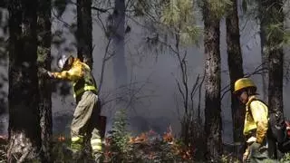 Estudiantes de la UCO participan en una quema controlada del Infoca en la Sierra para formación y prevención de incendios