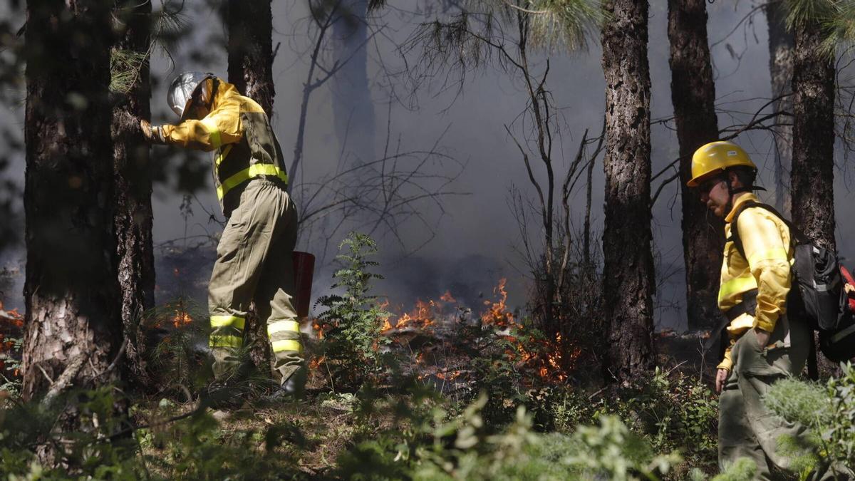 Una quema controlada en Córdoba para formar a alumnos en prevención de incendios
