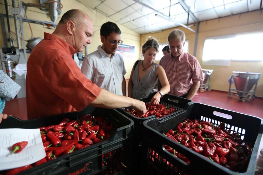 Visita a la fábrica de Especias Crespí