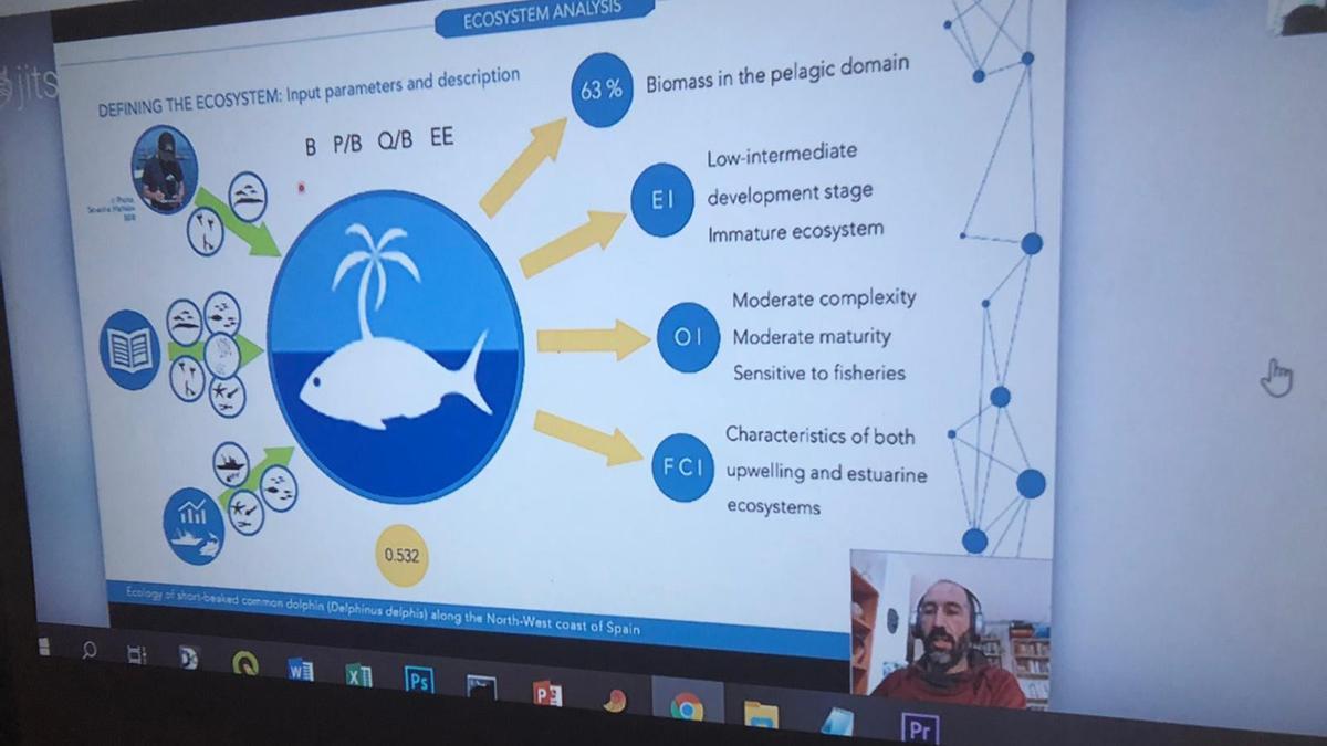 Un momento de la presentación telemática del trabajo de Oriol Giralt para la Universidad de Cork.