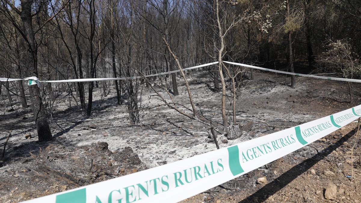 Les imatges de l'incendi de Ventalló i Vilopriu