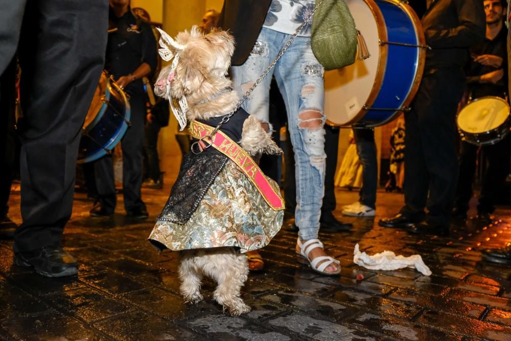 Huerta Nueva arrasa con los premios en las Fallas de Elda.