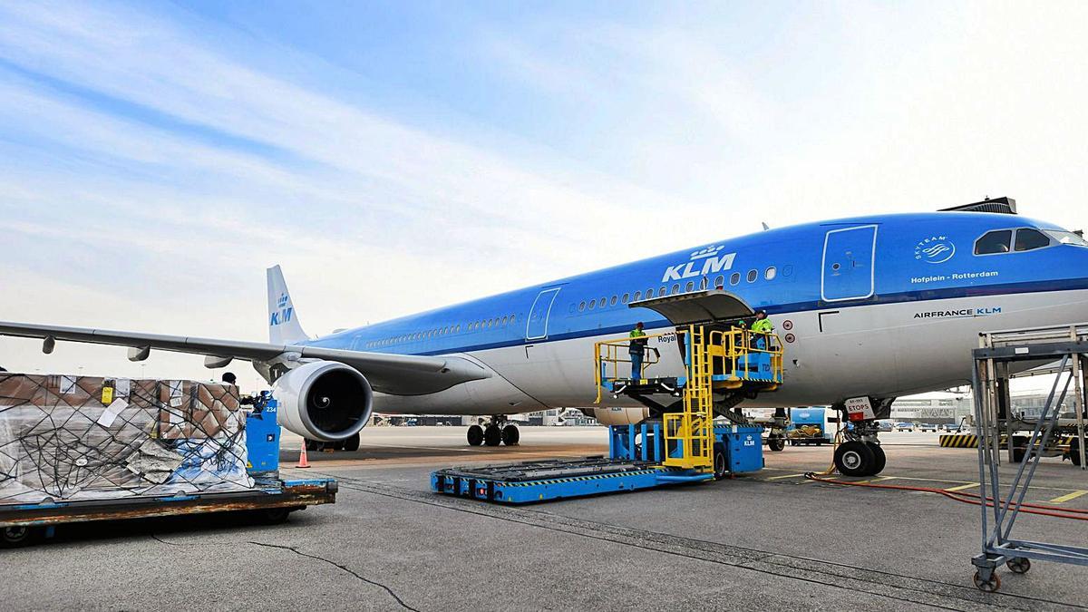 Envases de frío para su carga en el aeropuerto de Ámsterdam.   | FOTO: REUTERS