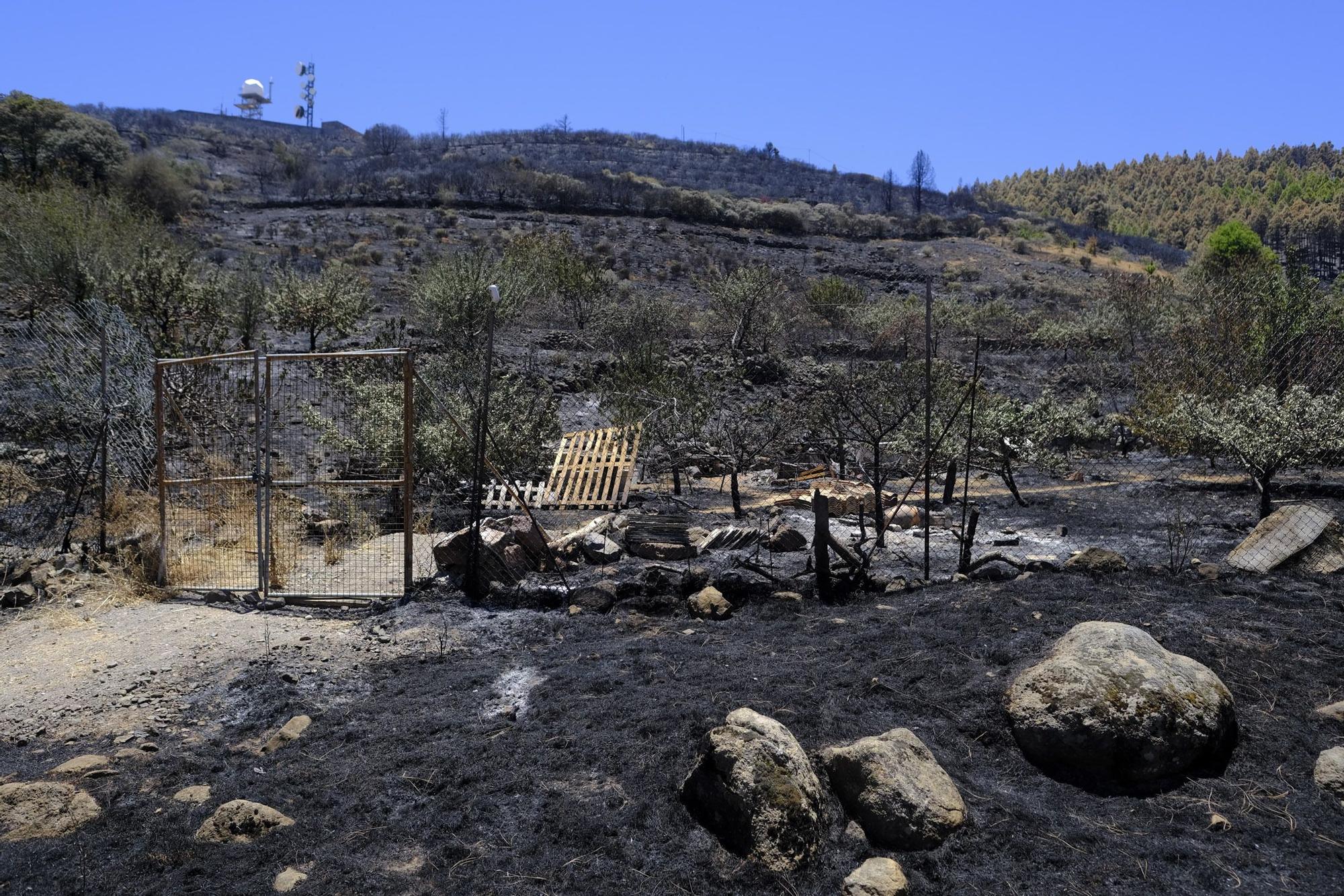 Incendio en la Cumbre de Gran Canaria: después del fuego viene la calma