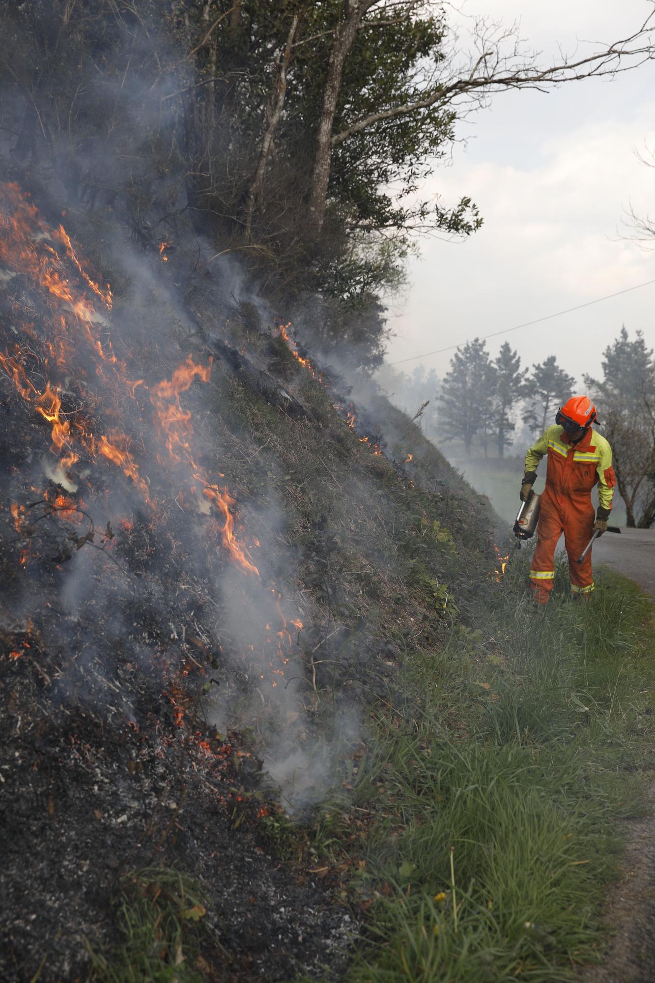 Bomberos de Asturias atrapando el fuego entre Naraval y Paredes