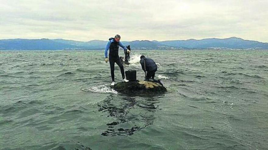 Cuatro bateeiros subidos a dos pequeñas rocas para extraer mejilla, en la costa de Fisterra.  // FdV