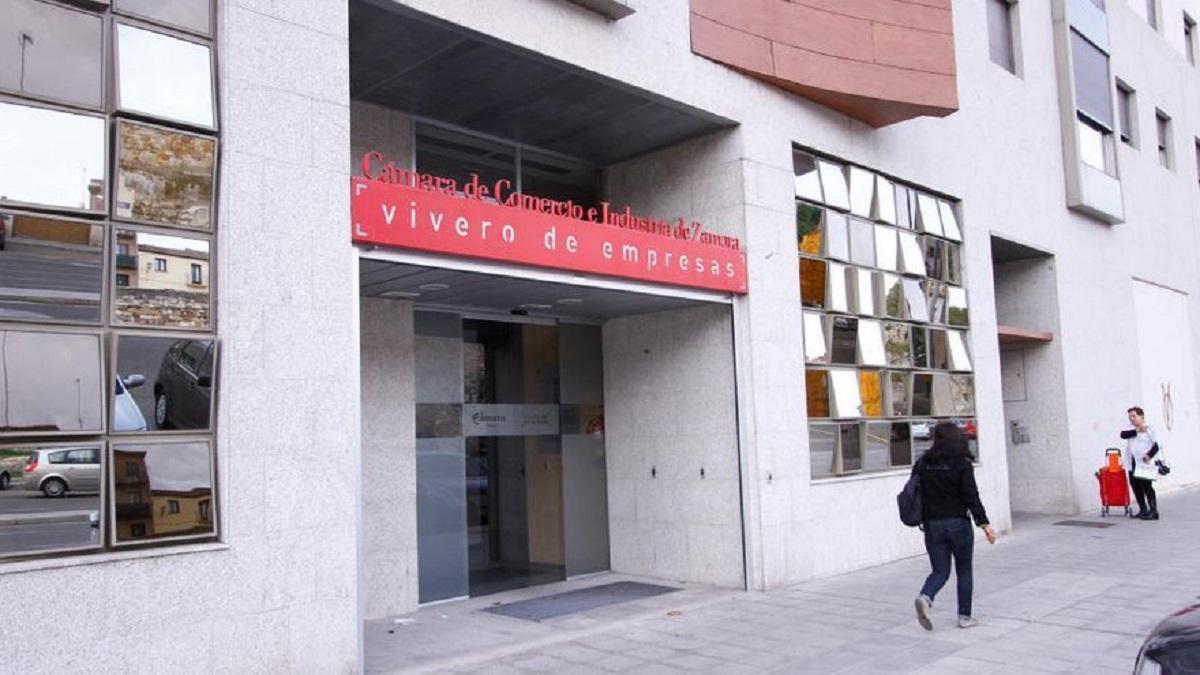 Vivero de la Cámara de Comercio de Zamora, en la avenida de La Feria.