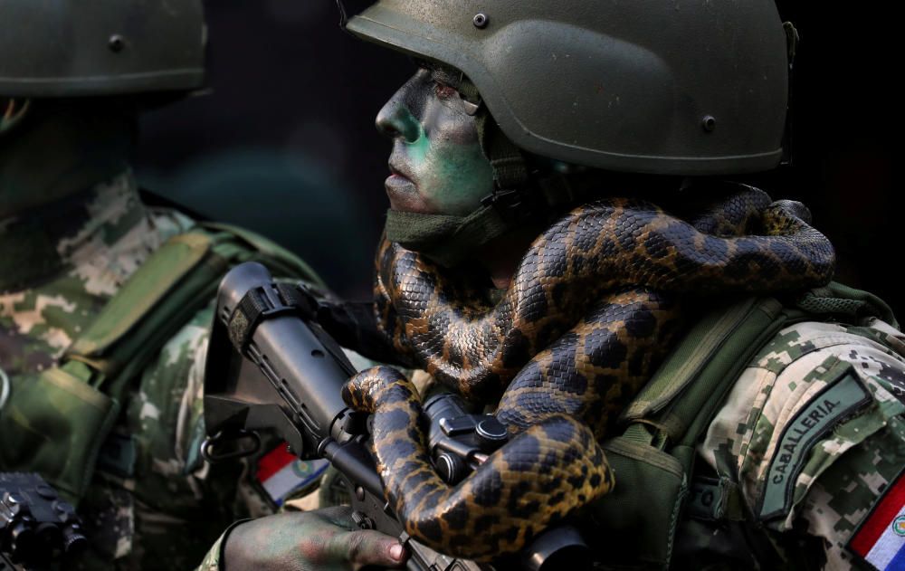 Un miembro de la Caballería de Fuerzas Especiales del ejército paraguayo con una serpiente en el cuello en Asunción, Paraguay.