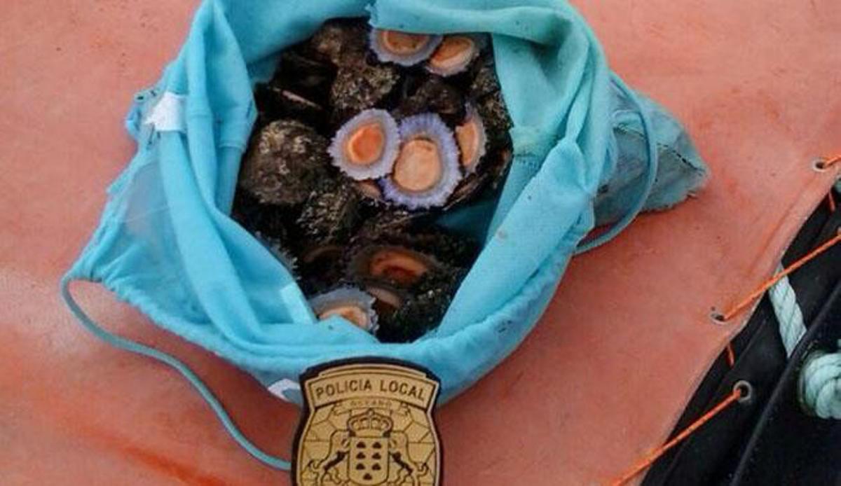 Alijo de lapas en Las Canteras