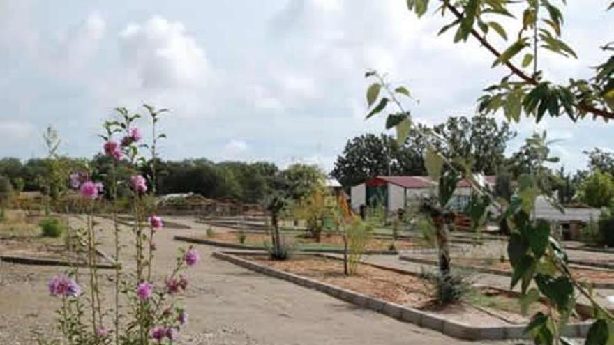 Fotogalería | En el Valle del Alagón