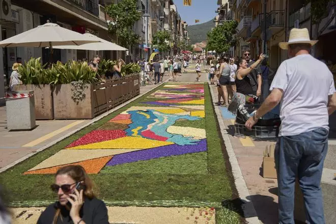 Les catifes d'Arbúcies en imatges