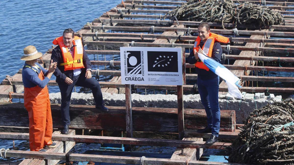 La iniciativa “Ecolóxicos a Mares” empezó a finales de septiembre con el acto de señalización de la primera batea ecológica en Galicia, en Vilanova de Arousa. 