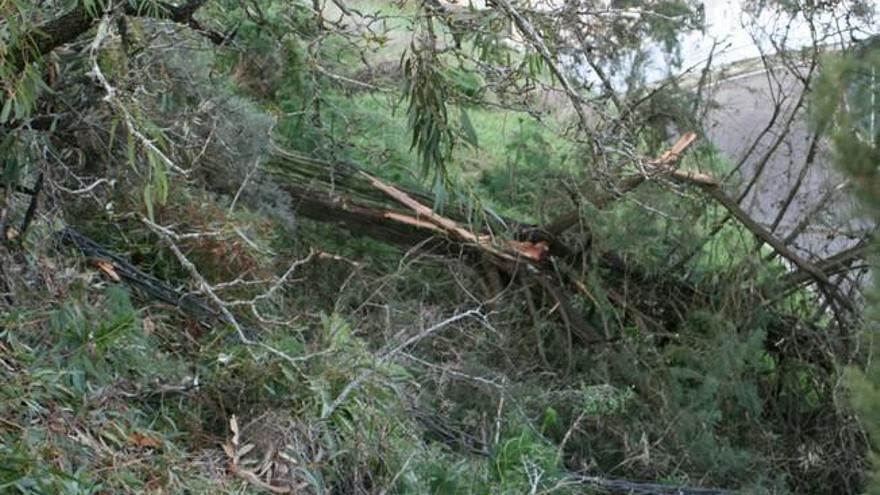 Daños causados por el viento en San Mateo (12/2/2016)