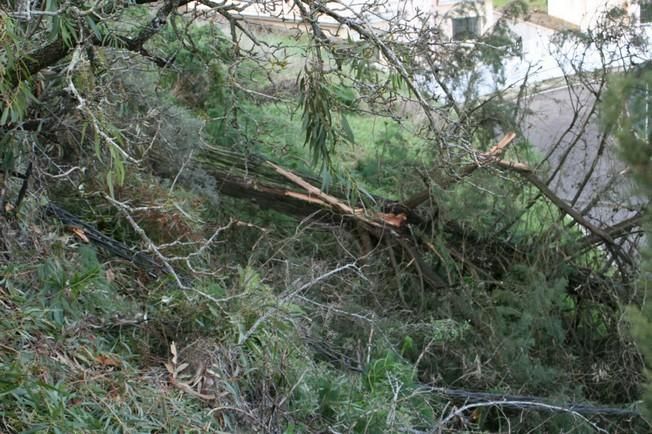 Daños causados por el viento en San Mateo (12/2/2016)