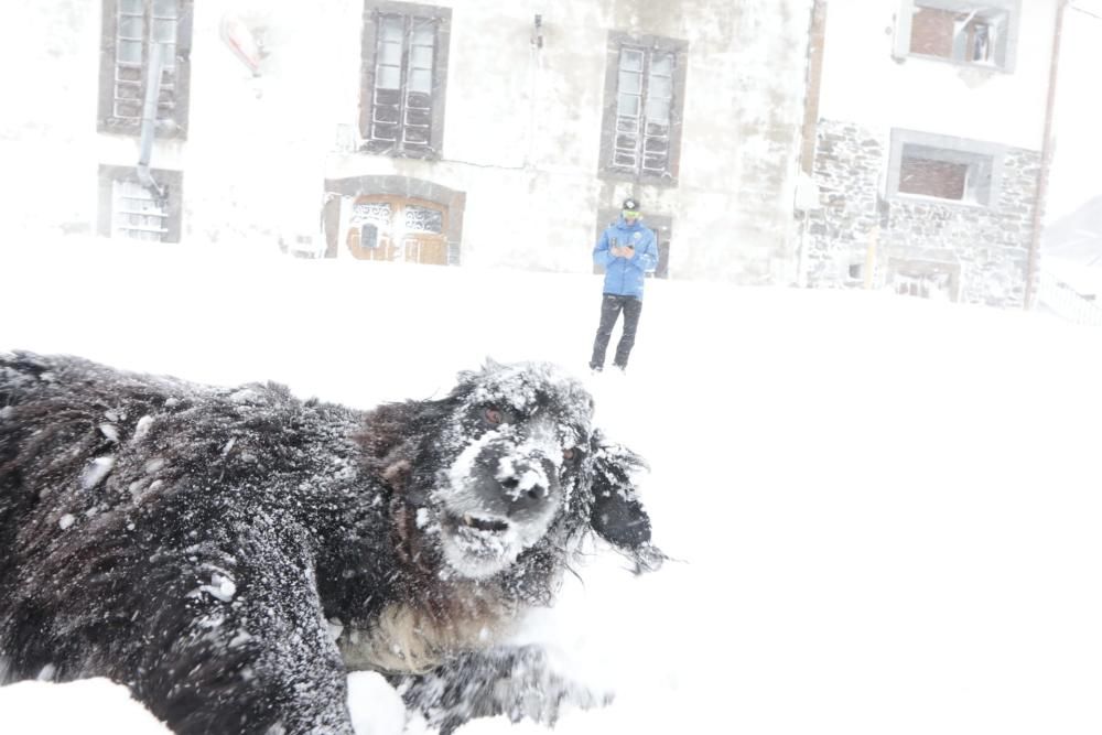 Segundo día de temporal en Asturias